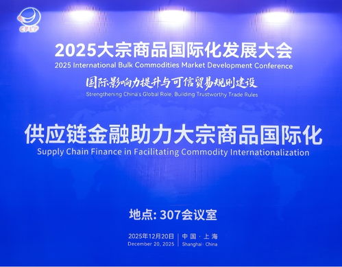 供應(yīng)鏈金融賦能大宗商品國(guó)際化 2025年大會(huì)平行活動(dòng)聚焦信息技術(shù)咨詢服務(wù)